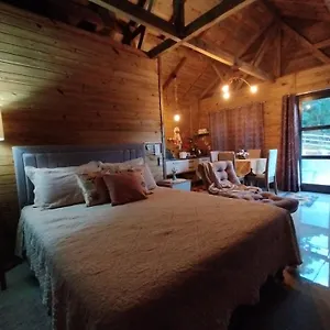 Tiny House Canjerana - Com Vista Dos Canyons Praia Grande (Santa Catarina)
